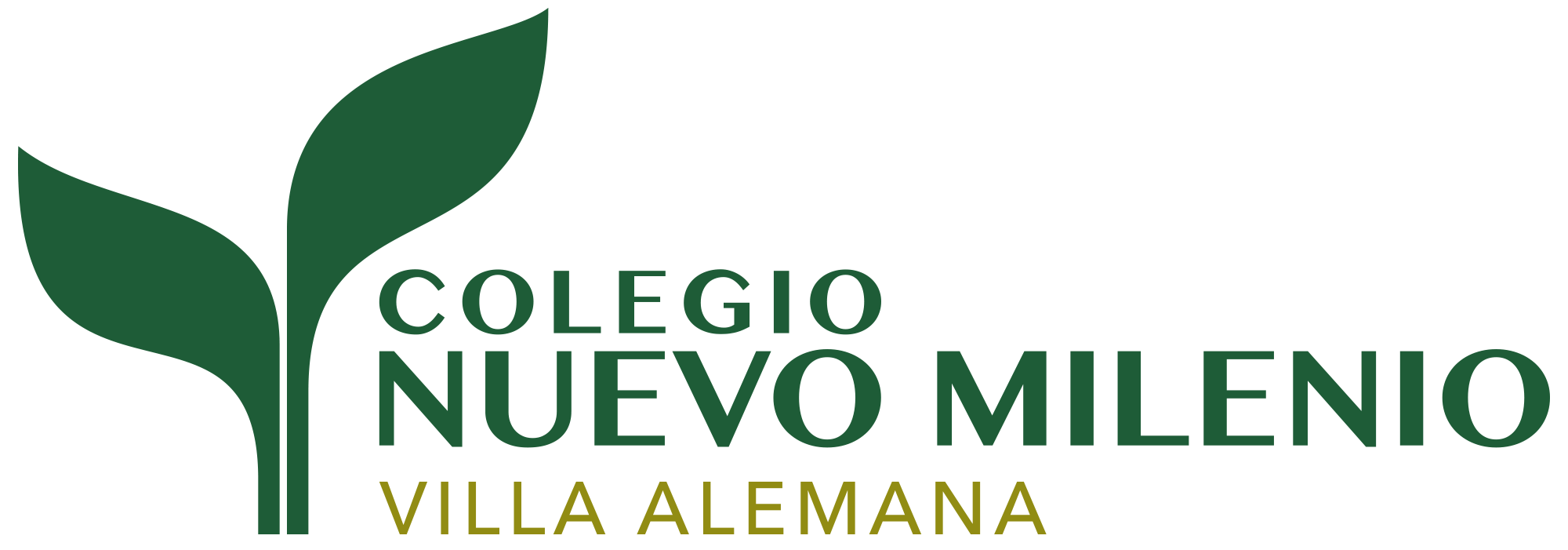 Colegio Nuevo Milenio